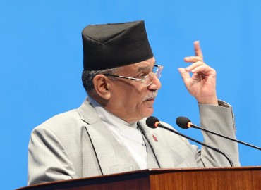 category photo