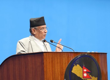 category photo