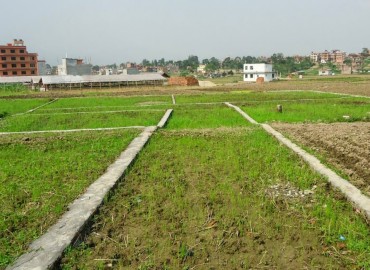 category photo