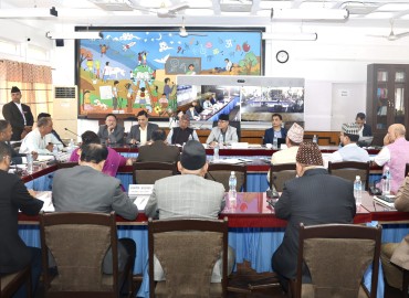 category photo
