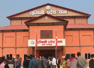 category photo