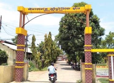 category photo