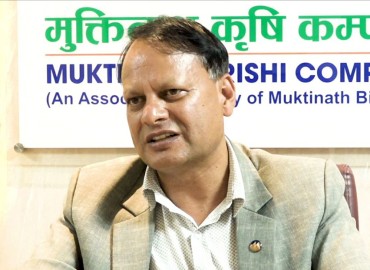 category photo