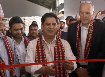 category photo