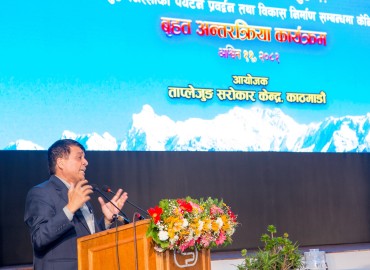 category photo