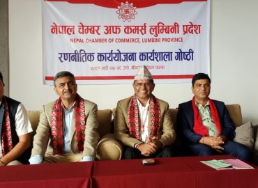 category photo