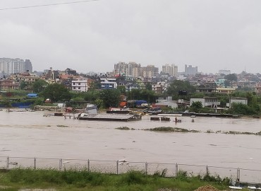 category photo