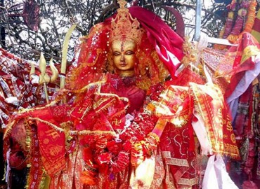 category photo