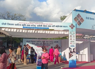 category photo