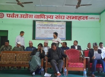 category photo