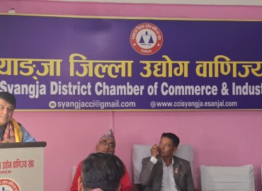 category photo