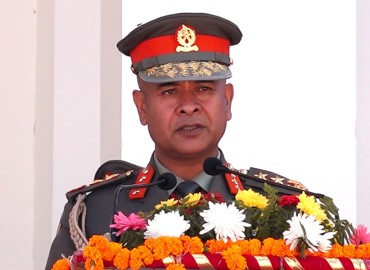 category photo