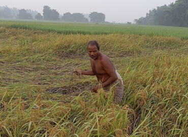 category photo