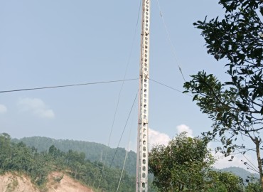 category photo