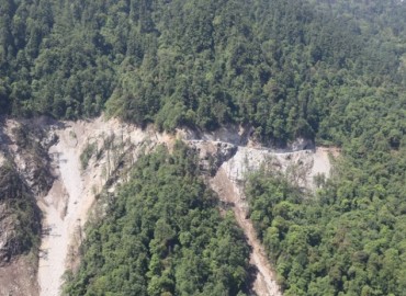category photo