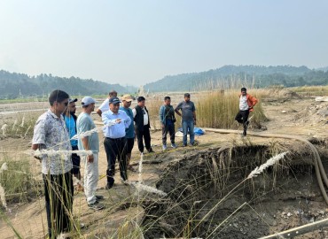 category photo