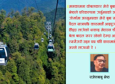 category photo