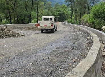 category photo