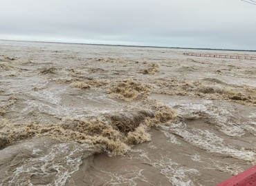 category photo