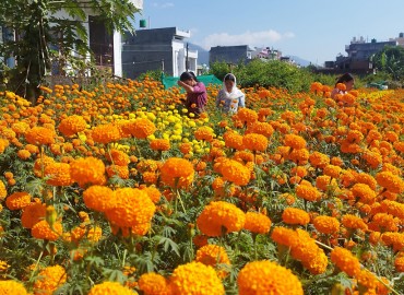 category photo