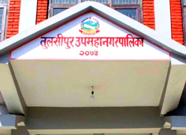 category photo