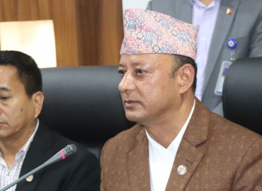 category photo