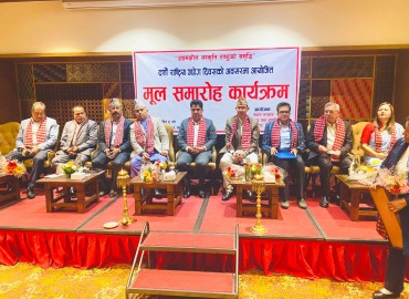 category photo