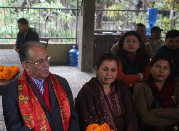 category photo