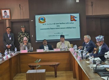 category photo
