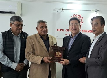 category photo