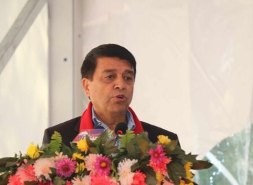 category photo
