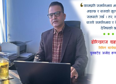 category photo