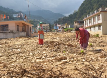 category photo