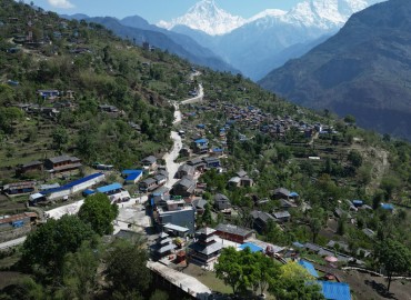 category photo