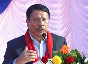 category photo