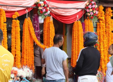 category photo