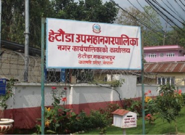 category photo