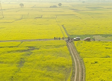 category photo