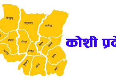 category photo