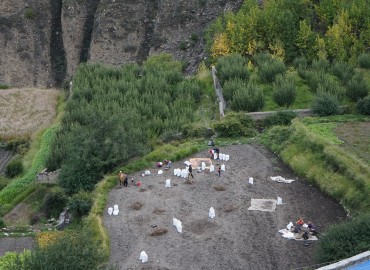 category photo