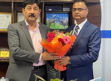 category photo