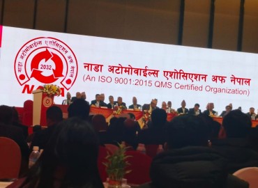 category photo