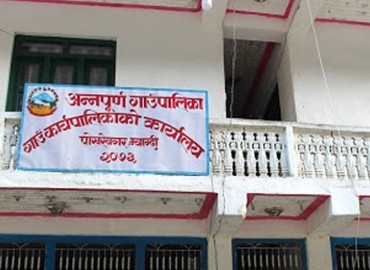 category photo