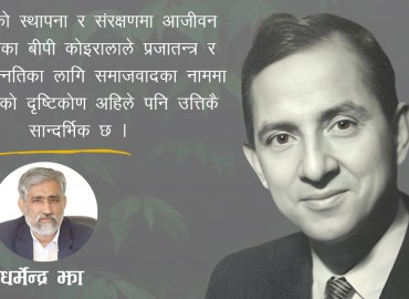 category photo
