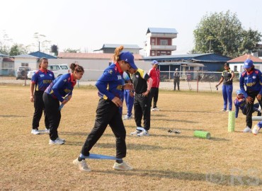 category photo
