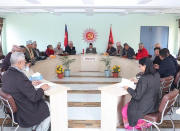 category photo