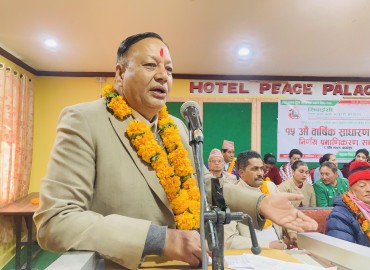 category photo