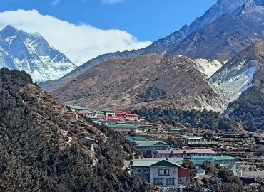 category photo