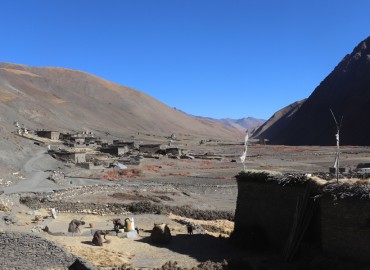 category photo