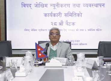 category photo